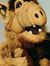 Alf Cos