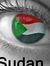 Yasir S...
