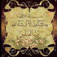 عثمان سليمان