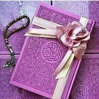 Shams Mahmoud