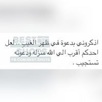Menna Hafez