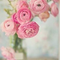 Nida Waleed