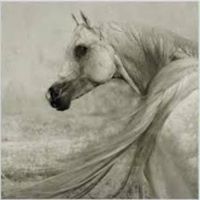 محمد علاء الدين