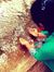 Keertha...