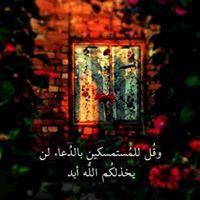 Sohila Ahmed
