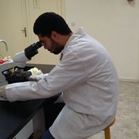 بكر اللفتاوي