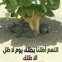 أم عبدالرحمن الشعراوي