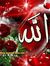 Ahmed M...