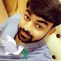 Niku Patel
