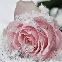 Sahil Rajput