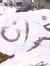 علي حسن