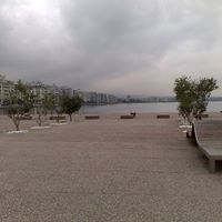 Μάρκος Μάρκου