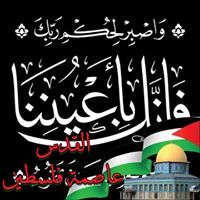 اسامه عبد المنعم