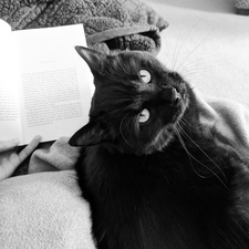 Caroline Ward-Nesbit