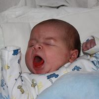 елена георгиева