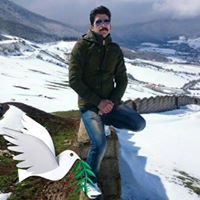 مرتضی پولادی