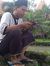 M Januar