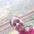 Lakshmipriya Shivashankar