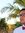 Anish R...