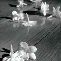 رجاء عبد الرحمن