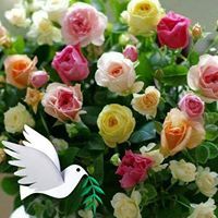 නිලන්ත කරුණාමුණි