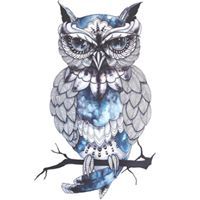 اثير عبدالله