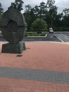 ElevenGreenStingrays