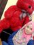 Bear Comel