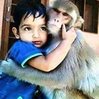 Amitava Raychaudhuri