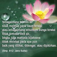 Tan Sri