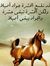 Ibrahem...