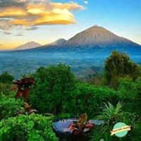 قصى الكاهلى