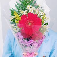 Pranisma Imeldania