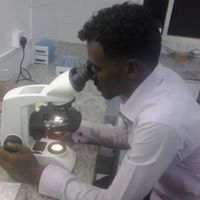 Babiker Mohamed