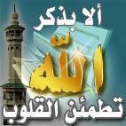 محمد الرشيد