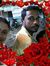 Arpita ...