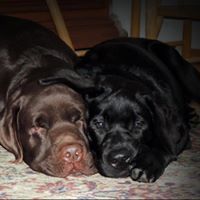 Ерофеев Станислав