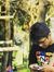 Luthfi ...