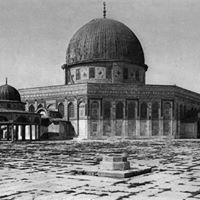 أيوب اضواو