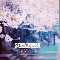 زيد الحجوري