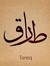 Tarek A...