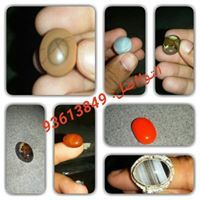 طارق العمري