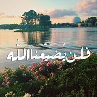 فالله خير حافظا