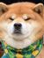 Tuyen N...