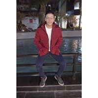 Mohamed Tarek