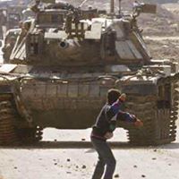 Shaaheen Shamsoodeen