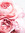 Noa | 281 comments