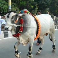 Mahesh Kumar