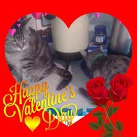 Fb-Securıtƴ Tanner