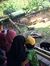 Dayang Nj
